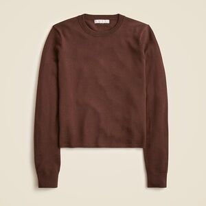 J. Crew Chocolate Brown Crewneck in merino wool